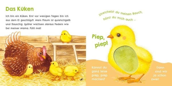 Produktbild: H&ouml;r mal, wie ich knabbern kann (Mein erstes Streichel-Soundbuch 5)