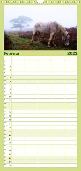 Produktbild: New Forest - England - Familienplaner hoch (Wandkalender 2022 , 21 cm x 45 cm, hoch)