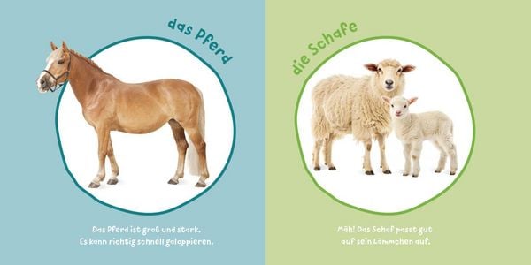 Produktbild: Baby Pixi (unkaputtbar) 183: Mein Baby-Pixi-Buggybuch: Meine ersten Tiere