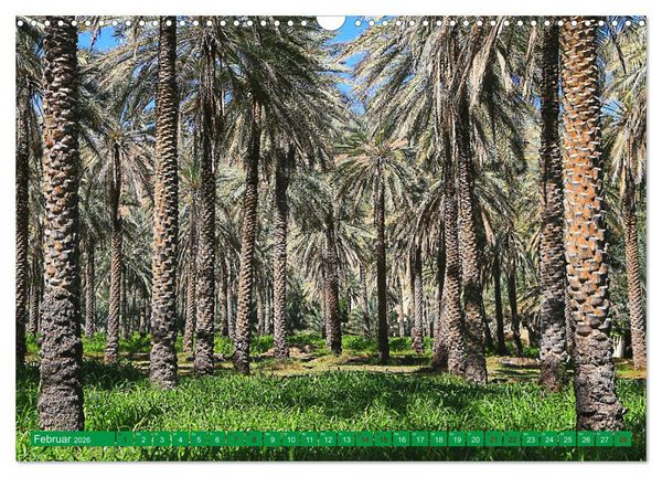 Produktbild: Unterwegs im Weihrauchland Oman (Wandkalender 2026 DIN A3 quer), CALVENDO Monatskalender