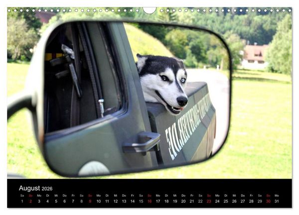 Produktbild: Sibirische Huskys aus Deutschland (Wandkalender 2026 DIN A3 quer), CALVENDO Monatskalender