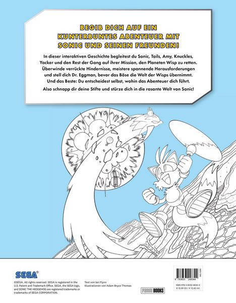 Produktbild: Sonic The Hedgehog: Das offizielle Abenteuer-Malbuch - Deine Entscheidungen, deine Geschichte!