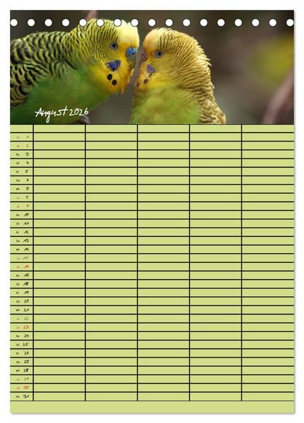 Produktbild: Der Wellensittich-Familienplaner (Tischkalender 2026 DIN A5 hoch), CALVENDO Monatskalender