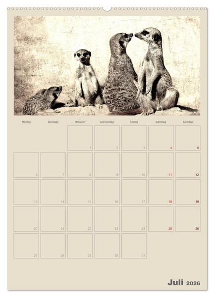 Produktbild: Lustige Erdm&auml;nnchen (Wandkalender 2026 DIN A2 hoch), CALVENDO Monatskalender