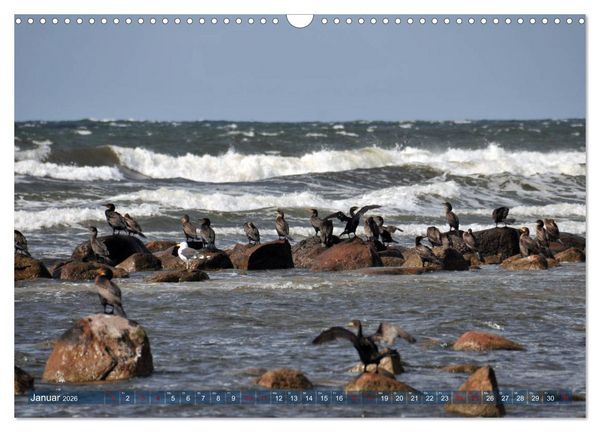 Produktbild: Bornholm - Sonneninsel der Ostsee (Wandkalender 2026 DIN A3 quer), CALVENDO Monatskalender