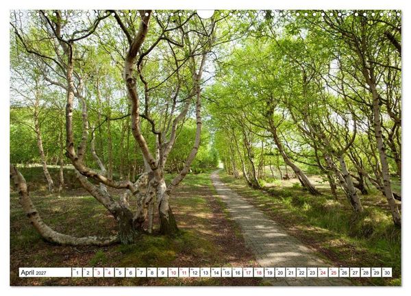 Produktbild: Baltrum - Momente einer Reise (Wandkalender 2027 DIN A3 quer), CALVENDO Monatskalender