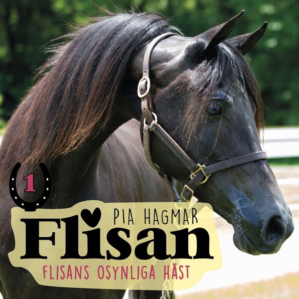 Flisans osynliga häst - Pia Hagmar, Audio, 9789132600531