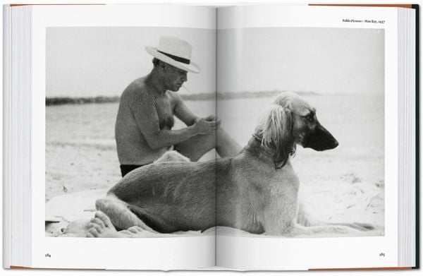 Produktbild: The Dog in Photography 1839&ndash;Today