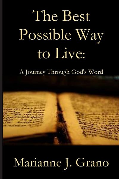 Produktbild: The Best Possible Way to Live