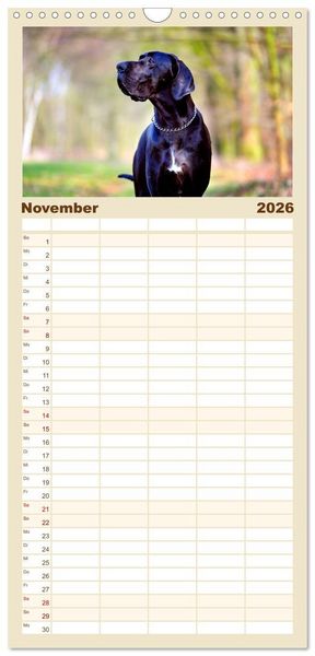 Produktbild: Familienplaner 2026 - Deutsche Doggen / Geburtstagskalender mit 5 Spalten (Wandkalender, 21 x 45 cm) CALVENDO