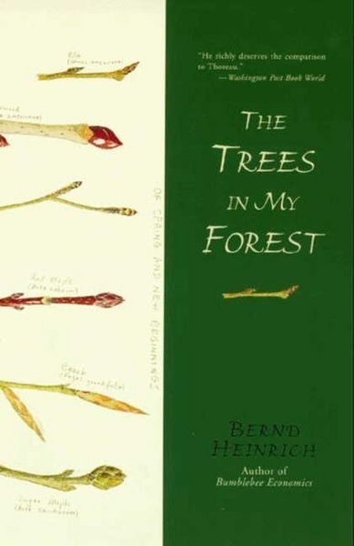 Produktbild: The Trees in My Forest