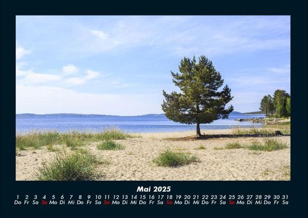Produktbild: B&auml;ume 2025 Fotokalender DIN A4
