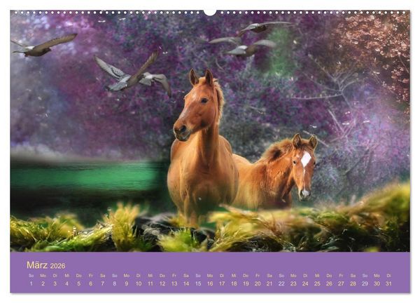 Produktbild: Von der Magie der Pferde (Wandkalender 2026 DIN A2 quer), CALVENDO Monatskalender
