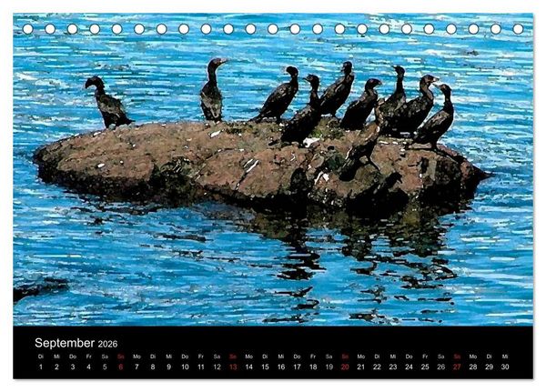 Produktbild: Neufundland entdecken (Tischkalender 2026 DIN A5 quer), CALVENDO Monatskalender