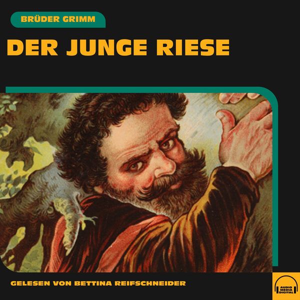 Der junge Riese - Brüder Grimm, Audio, 9783991604303