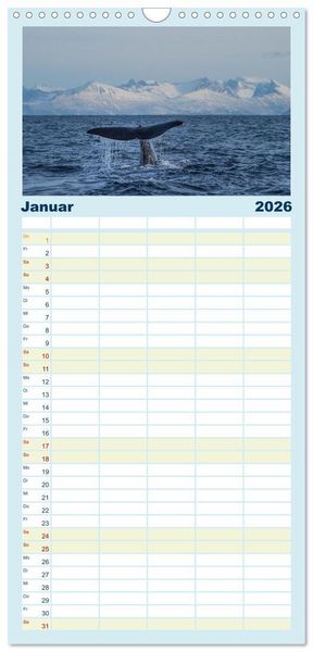 Produktbild: Familienplaner 2026 - Die Wale von Andenes mit 5 Spalten (Wandkalender, 21 x 45 cm) CALVENDO
