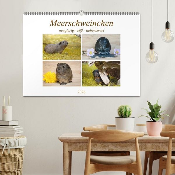 Produktbild: MEERSCHWEINCHEN neugierig - s&uuml;&szlig; - liebenswert (Wandkalender 2026 DIN A2 quer), CALVENDO Monatskalender