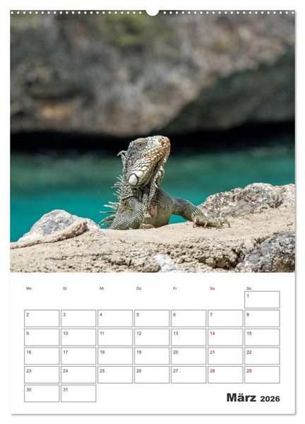 Produktbild: Curacao - Terminplaner (Wandkalender 2026 DIN A2 hoch), CALVENDO Monatskalender