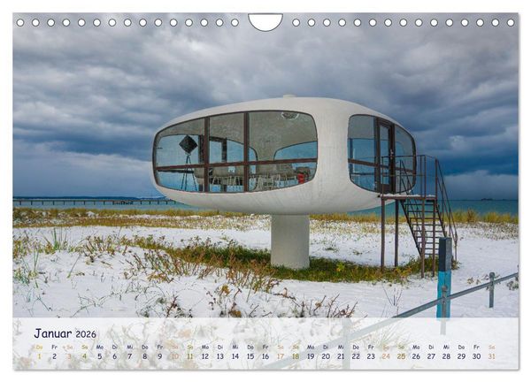 Produktbild: R&uuml;genliebe (Wandkalender 2026 DIN A4 quer), CALVENDO Monatskalender