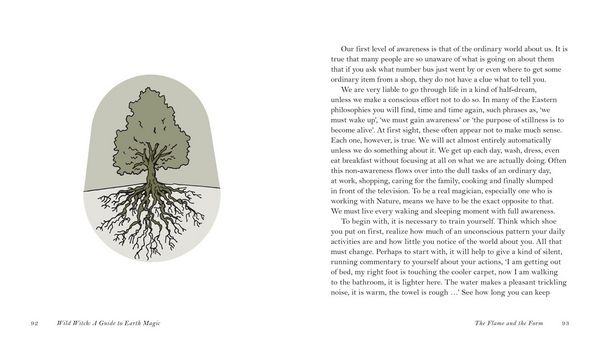 Produktbild: WILD WITCH HB