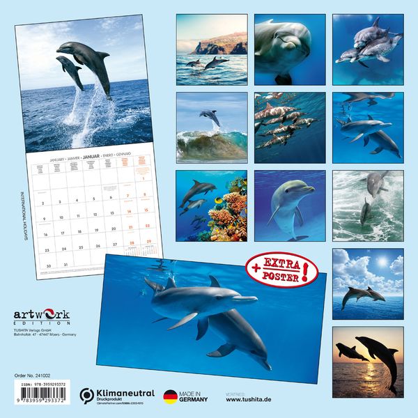 Produktbild: Dolphins/Delfine 2024