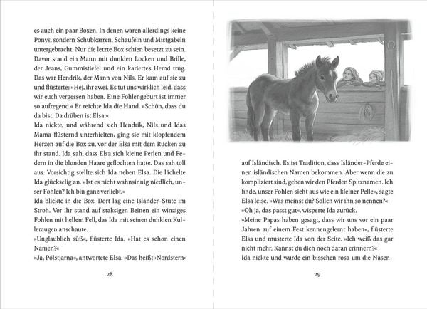 Produktbild: Die Ponys von Lillasund 1. Ida und das Ponygl&uuml;ck