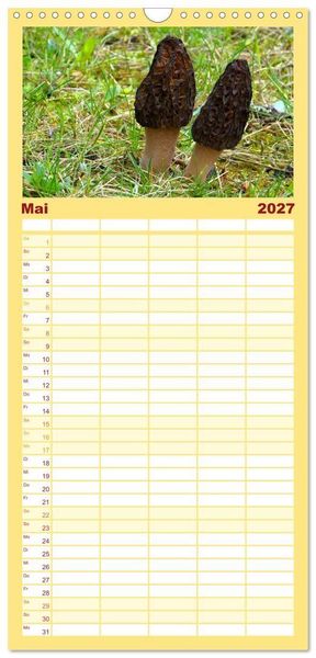 Produktbild: Familienplaner 2027 - Heimische Pilze mit 5 Spalten (Wandkalender, 21 x 45 cm) CALVENDO
