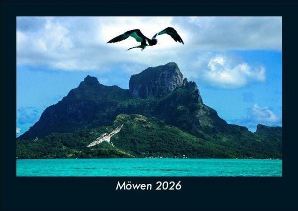 Produktbild: M&ouml;wen 2026 Fotokalender DIN A5