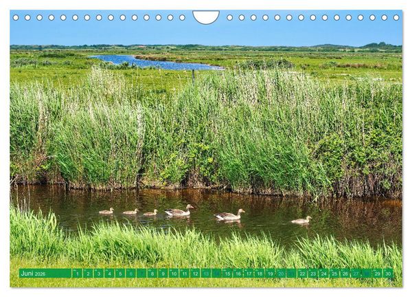 Produktbild: Borkum Ansichten (Wandkalender 2026 DIN A4 quer), CALVENDO Monatskalender