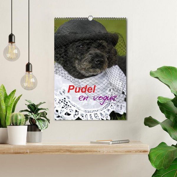 Produktbild: Pudel en vogue (Wandkalender 2026 DIN A3 hoch), CALVENDO Monatskalender