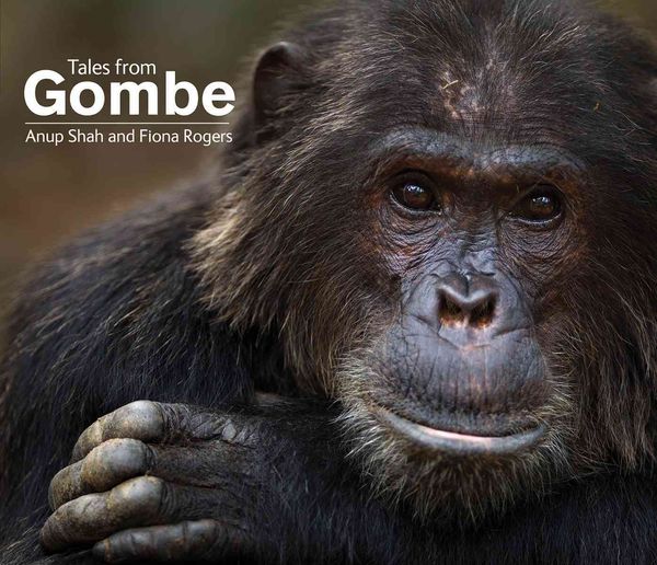 Produktbild: Tales from Gombe