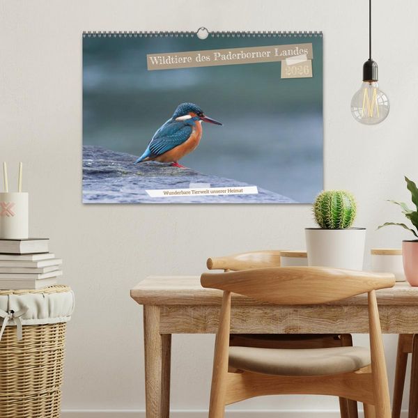 Produktbild: Wildtiere des Paderborner Landes (Wandkalender 2026 DIN A3 quer), CALVENDO Monatskalender
