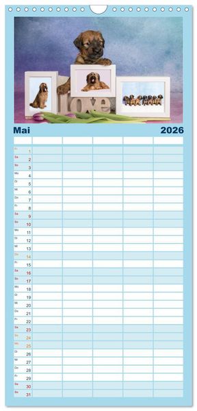 Produktbild: Familienplaner 2026 - Briardbabys in ihren ersten Wochen mit 5 Spalten (Wandkalender, 21 x 45 cm) CALVENDO