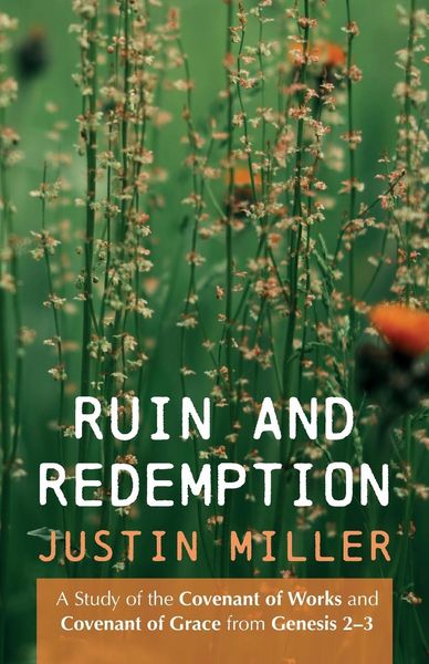 Produktbild: Ruin and Redemption