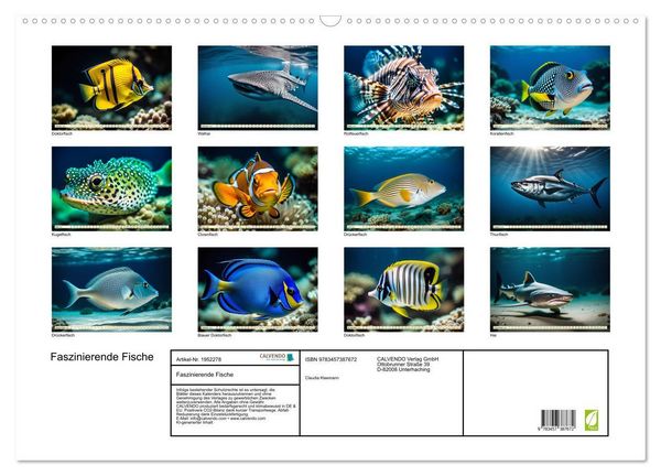 Produktbild: Faszinierende Fische (Wandkalender 2026 DIN A2 quer), CALVENDO Monatskalender