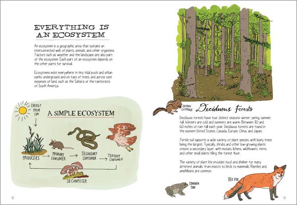 Produktbild: Wildlife Anatomy