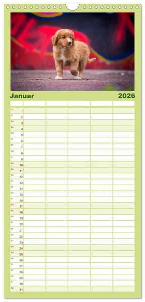 Produktbild: Familienplaner 2026 - Toller - Nova Scotia Duck Tolling Retriever mit 5 Spalten (Wandkalender, 21 x 45 cm) CALVENDO