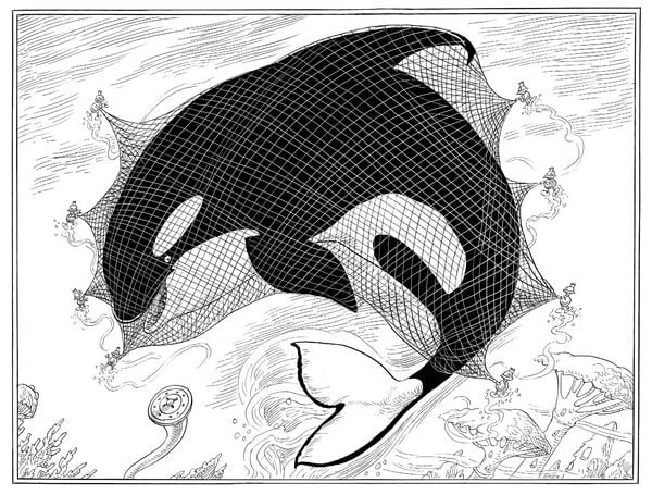 Produktbild: A Mermaid's Rescue