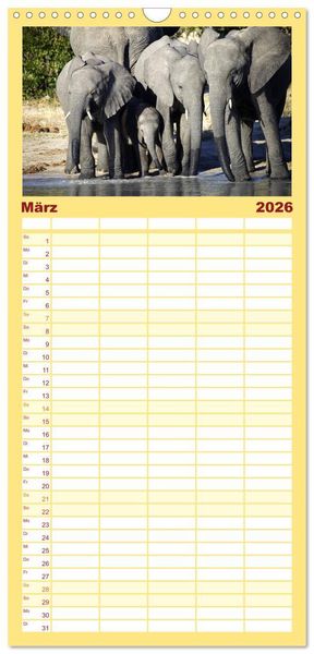 Produktbild: Familienplaner 2026 - Elefanten in Afrika mit 5 Spalten (Wandkalender, 21 x 45 cm) CALVENDO