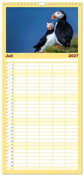 Produktbild: Familienplaner 2027 - Puffins - Papageientaucher auf Island mit 5 Spalten (Wandkalender, 21 x 45 cm) CALVENDO