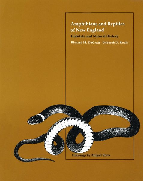 Produktbild: Amphibians and Reptiles of New England