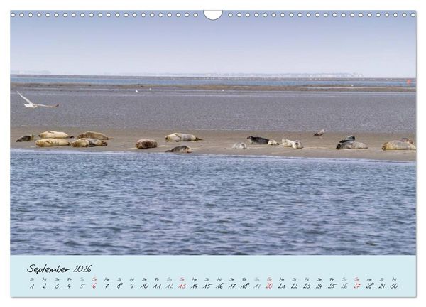 Produktbild: Nordsee &ndash; D&uuml;nen, Sand, Wasser und Wolken (Wandkalender 2026 DIN A3 quer), CALVENDO Monatskalender