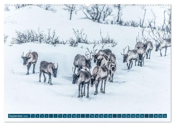 Produktbild: Von Troms&ouml; nach Sommaroy - Winter in Norwegen (Wandkalender 2026 DIN A2 quer), CALVENDO Monatskalender