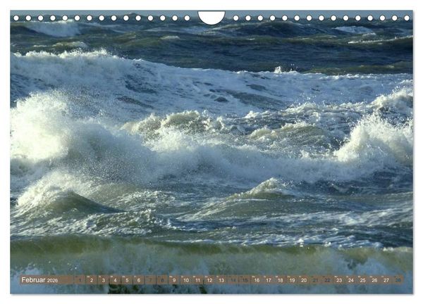 Produktbild: Strandwanderungen auf Texel (Wandkalender 2026 DIN A4 quer), CALVENDO Monatskalender