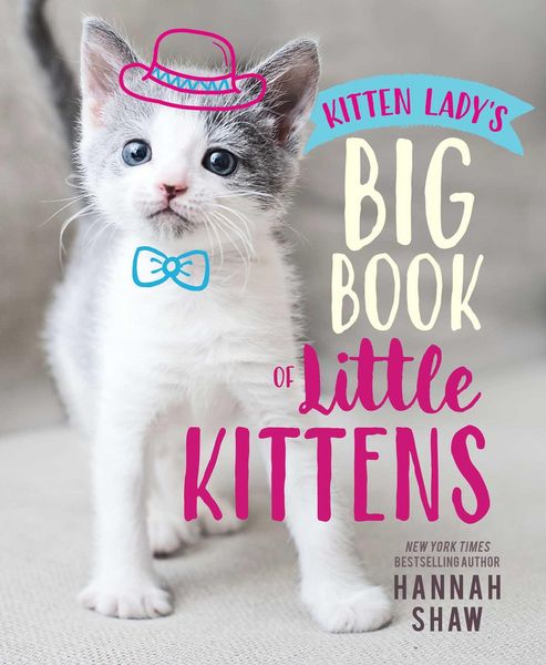 Produktbild: Kitten Lady's Big Book of Little Kittens