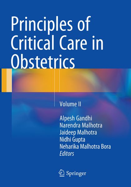 Produktbild: Principles of Critical Care in Obstetrics