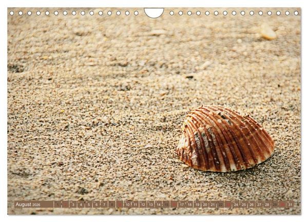 Produktbild: Momente der Stille (Wandkalender 2026 DIN A4 quer), CALVENDO Monatskalender