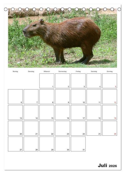 Produktbild: Venezuela - Land der Kontraste (Tischkalender 2026 DIN A5 hoch), CALVENDO Monatskalender