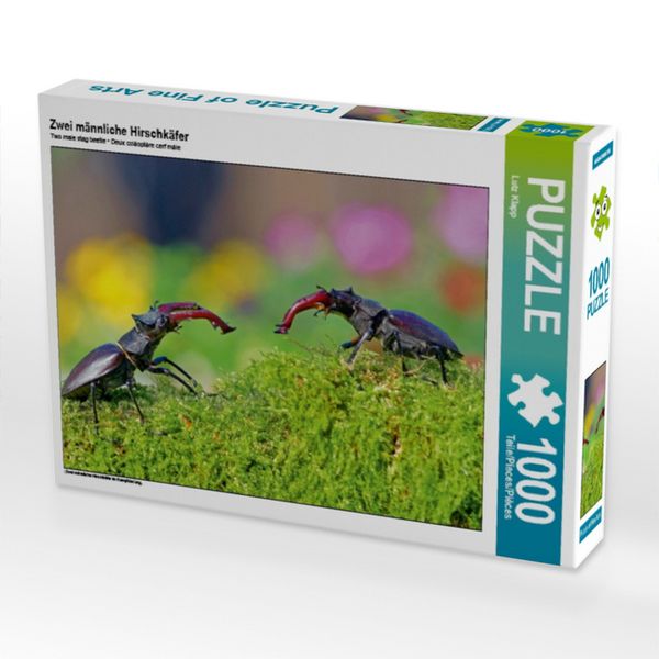 Produktbild: Zwei m&auml;nnliche Hirschk&auml;fer (Puzzle)