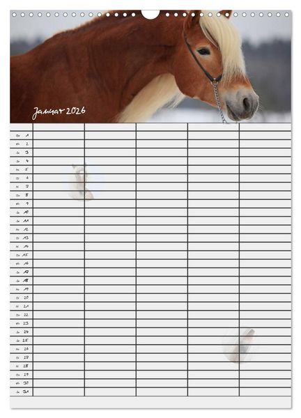 Produktbild: Haflinger Pferde - Stall- und Familienplaner 2026 (Wandkalender 2026 DIN A3 hoch), CALVENDO Monatskalender